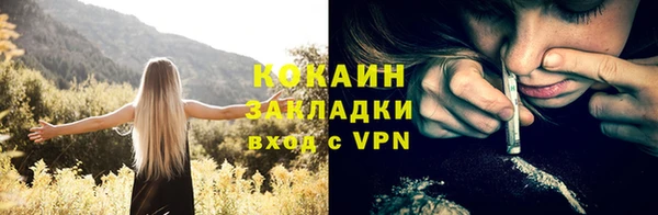 шишки Вязники