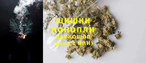 крисы Вязьма
