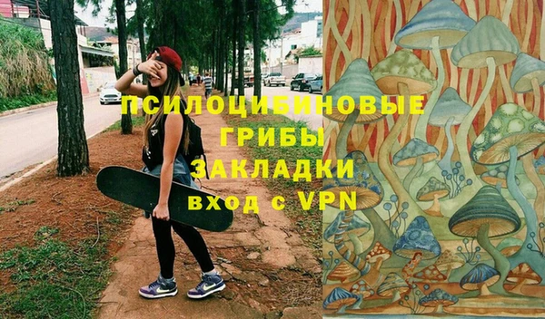 крисы Вязьма