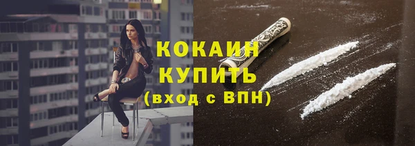 шишки Вязники