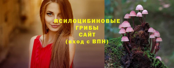 крисы Вязьма