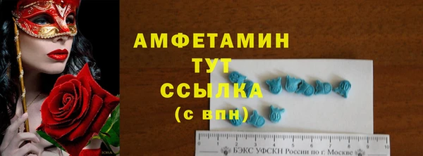 крисы Вязьма