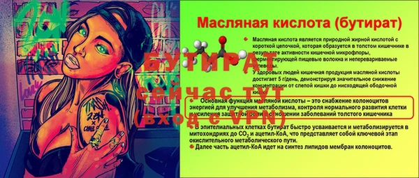 шишки Вязники