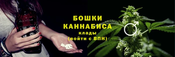 шишки Вязники