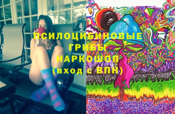 крисы Вязьма