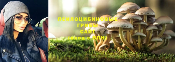 крисы Вязьма