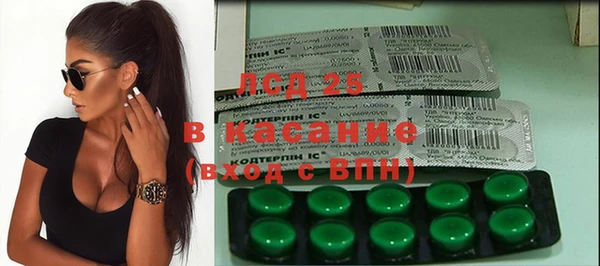 крисы Вязьма