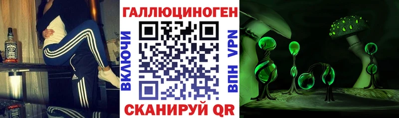 Псилоцибиновые грибы Psilocybe  Купить  Мещовск 